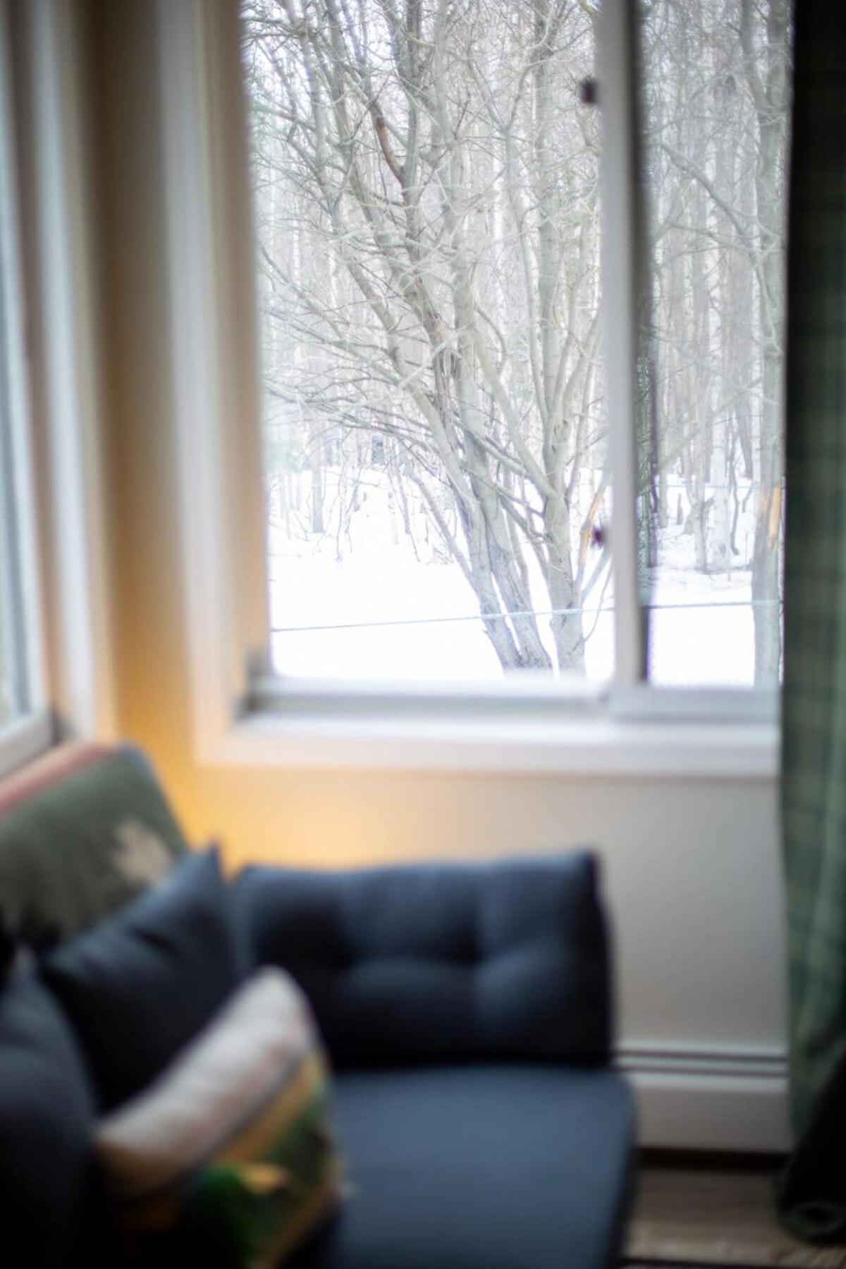 Stylish1 Bed 1 Bath Apartment Anchorage Exteriér fotografie